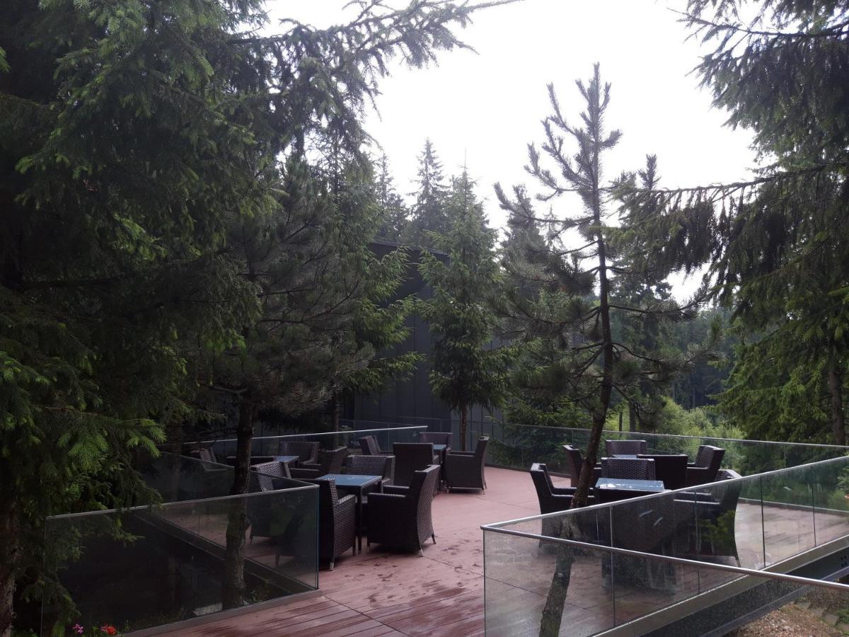Complex Hotelier Cota O Mie Sinaia Exteriör bild